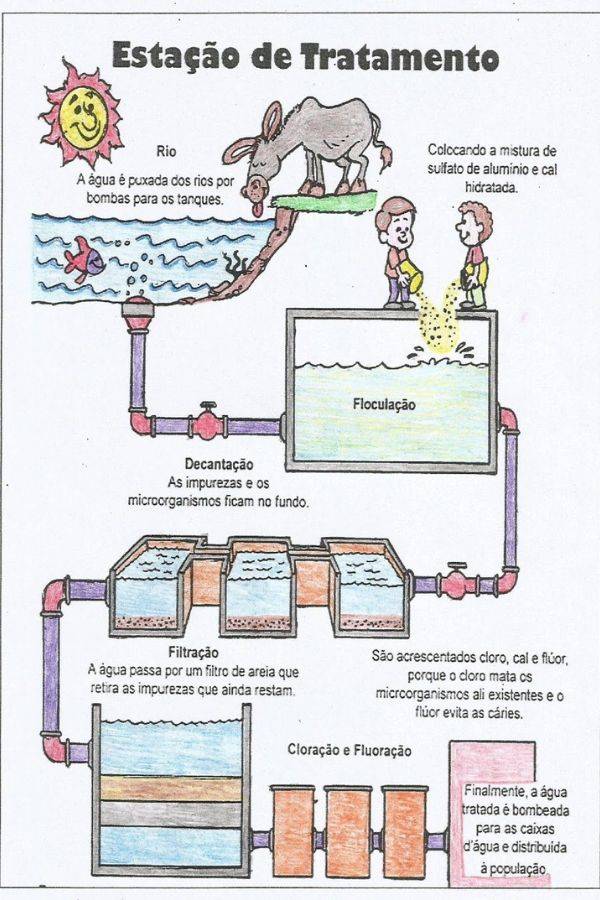 Atividades de ciências sobre a água para o 5º ano
