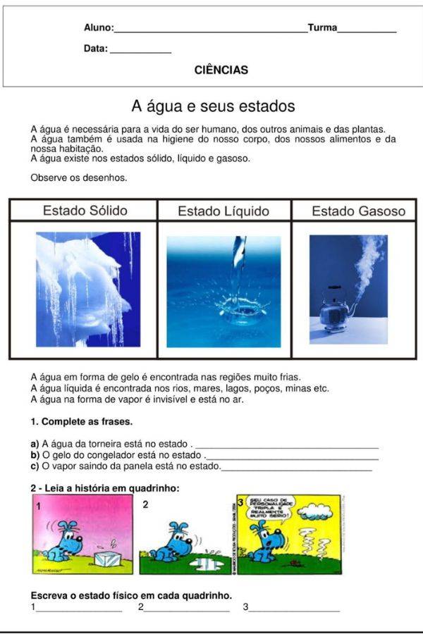Atividades de ciências sobre a água para o 5º ano