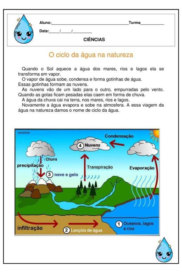 Atividades de ciências sobre a água para o 5º ano