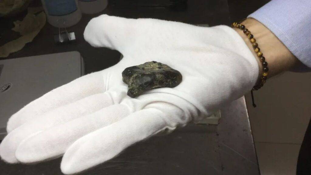 Ossos de 140 mil anos no mar revelam segredos de humanos extintos