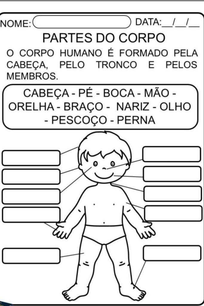 Atividades de ciências sobre o corpo humano para o 5º ano