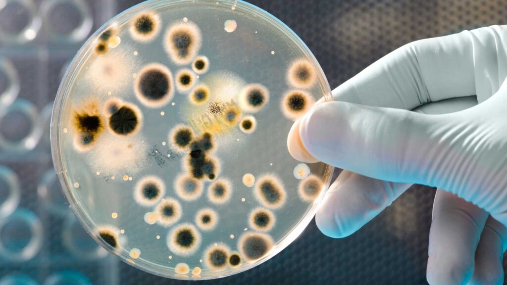 Bioplásticos produzidos por bactérias do solo (Imagem: Getty Images)