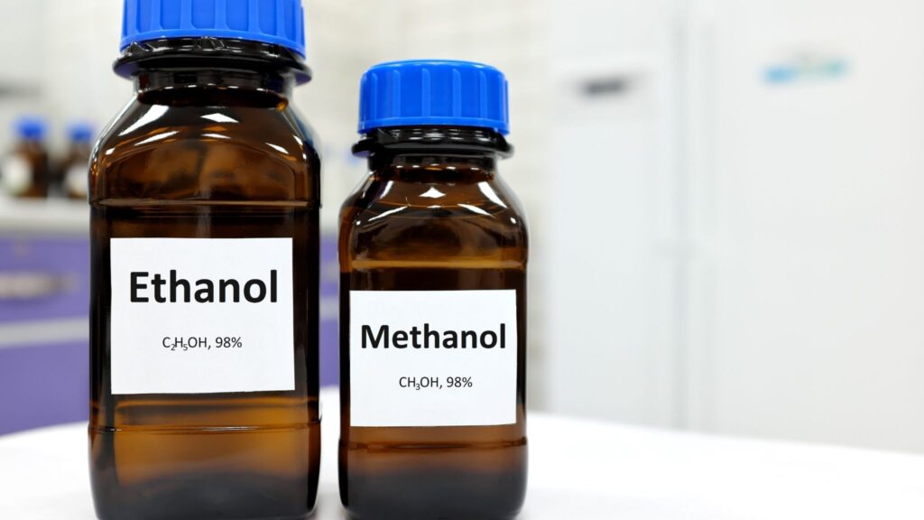 Tratamento rápido aumenta chances de sobrevivência. (Foto: Getty Images via Canva)