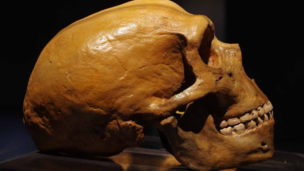 Dentes fósseis mostram registro de chumbo em humanos primitivos (Crédito: Getty Images/ Canva Pro)