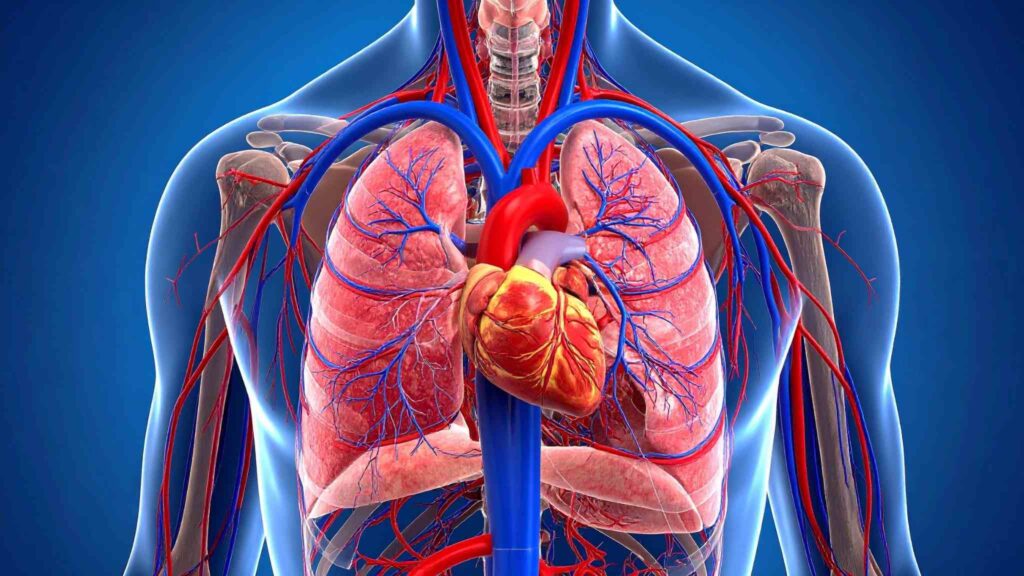 Micro e nanoplásticos estão em água, alimentos e até no corpo humano (Crédito: TrueCreatives/ Canva Pro)