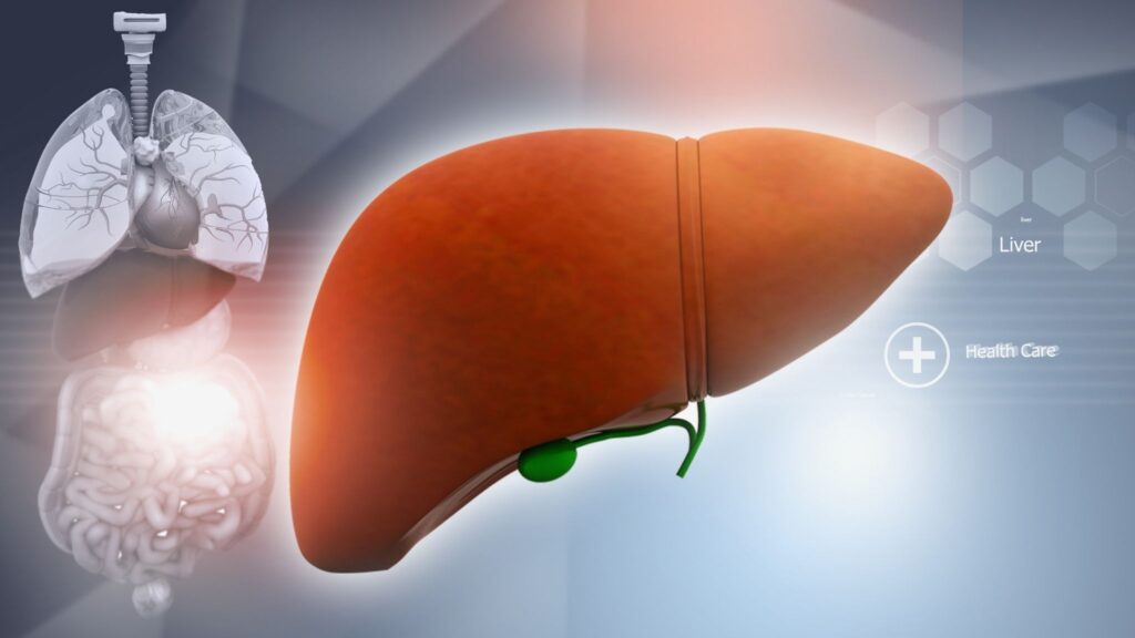 Terapia de RNA traz esperança para o fígado. (Foto: Getty Images / Canva Pro)