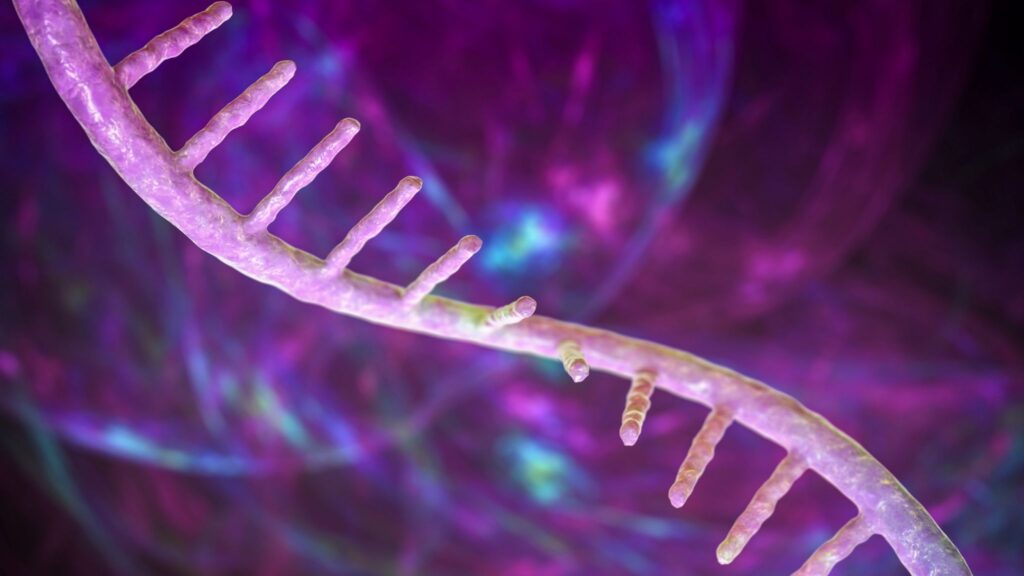Interações do RNA podem indicar novos alvos terapêuticos. (Foto: Science Photo)