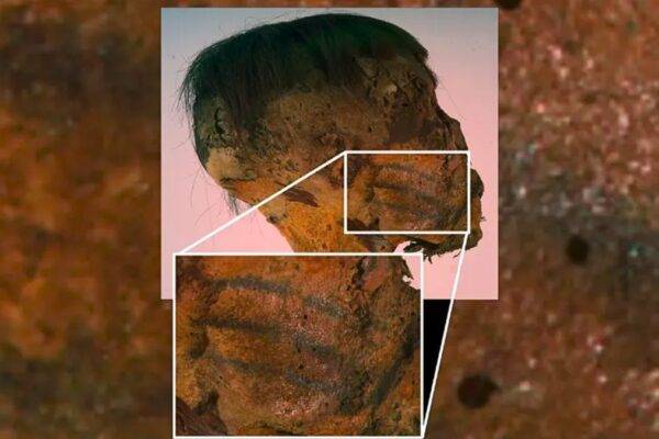 Múmia de 800 anos com tatuagens no rosto chama atenção de arqueólogos