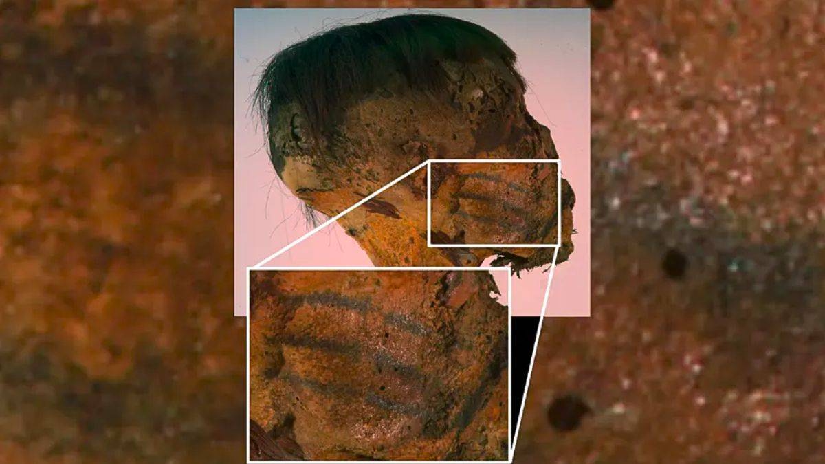 Múmia de 800 anos com tatuagens no rosto chama atenção de arqueólogos