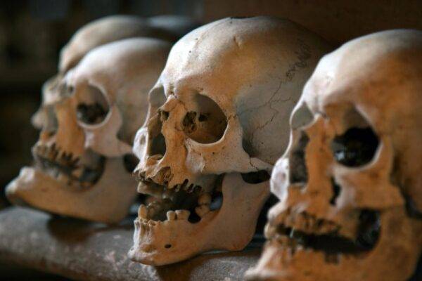 Ossos de 140 mil anos no mar revelam segredos de humanos extintos