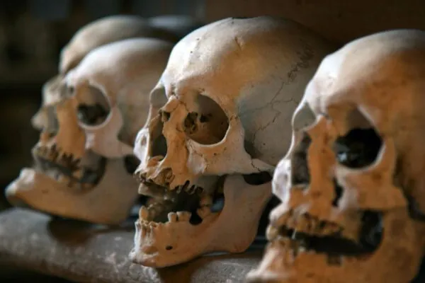 Ossos de 140 mil anos no mar revelam segredos de humanos extintos