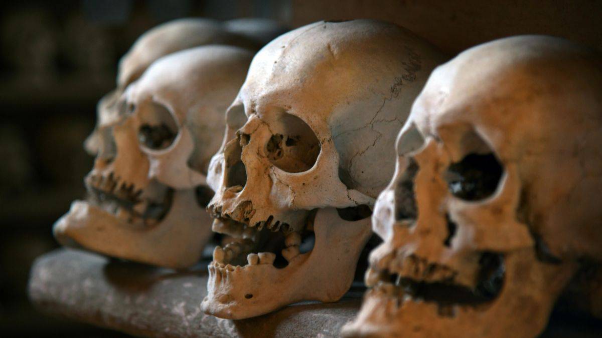 Ossos de 140 mil anos no mar revelam segredos de humanos extintos