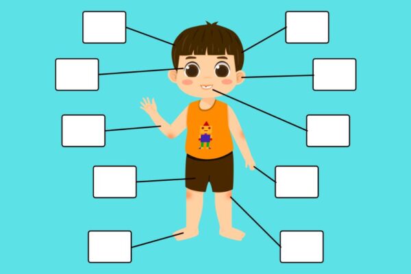 Atividades de ciências sobre o corpo humano para o 5º ano
