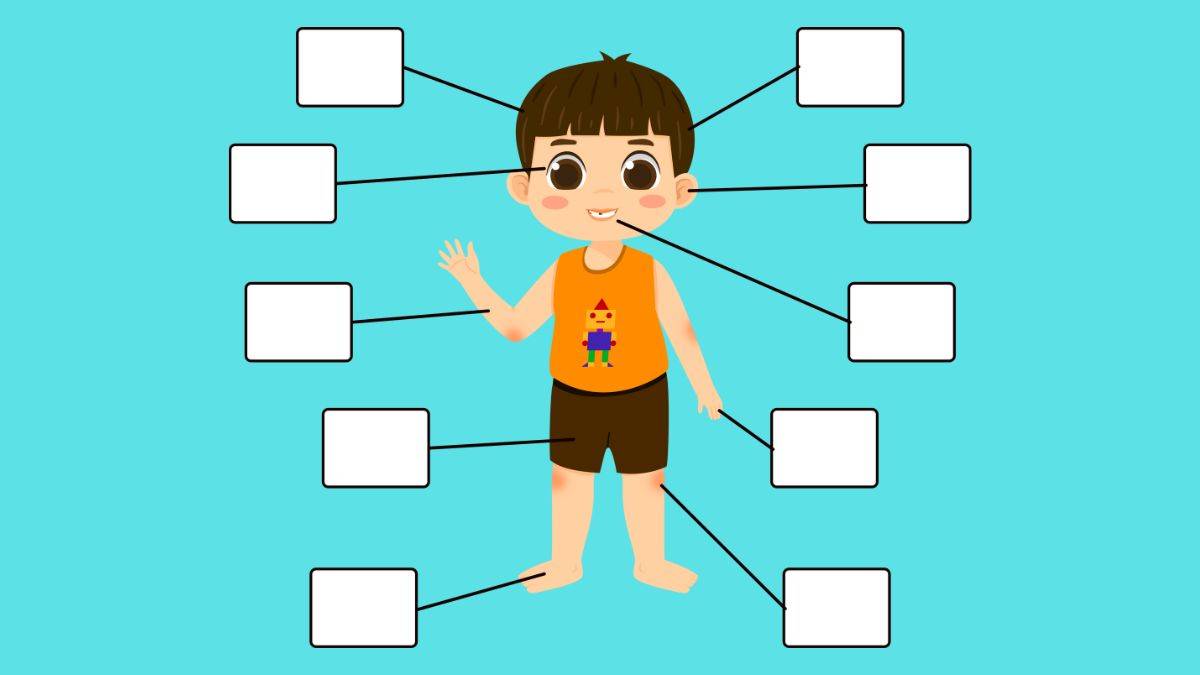 Atividades de ciências sobre o corpo humano para o 5º ano