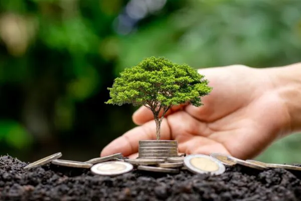 Recursos naturais renováveis e não renováveis