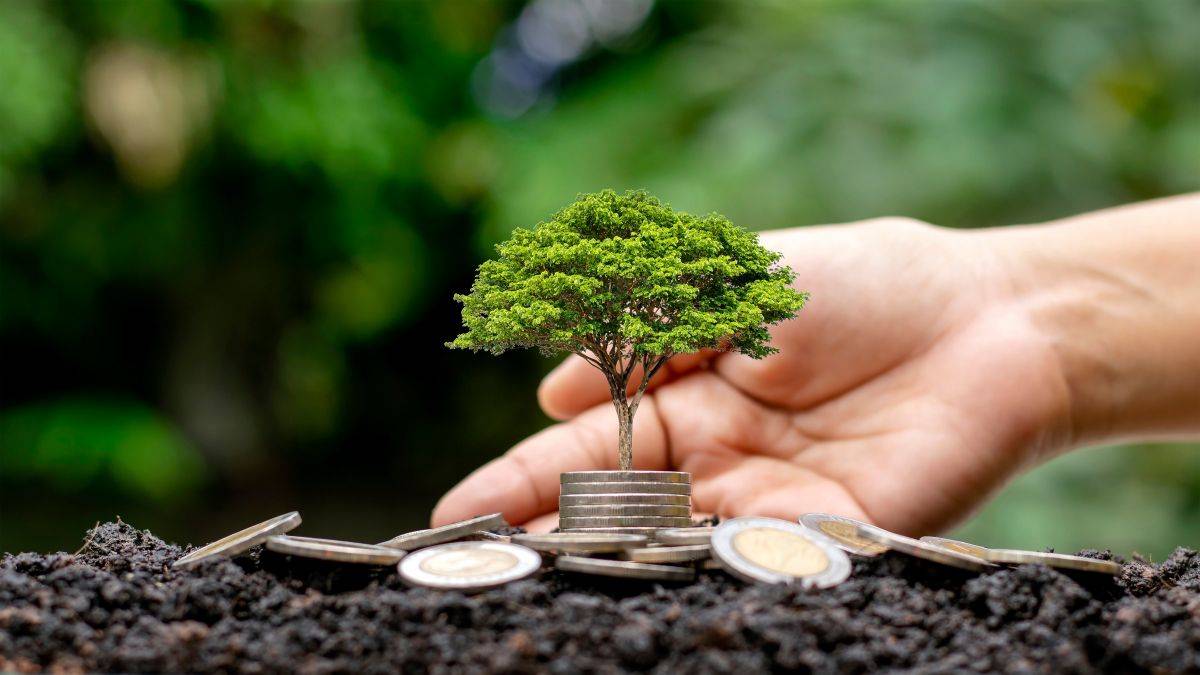 Recursos naturais renováveis e não renováveis