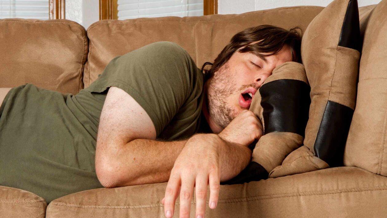 Cochilos curtos reforçam memória e foco do cérebro (Crédito da imagem: Getty Images/ Canva Pro)