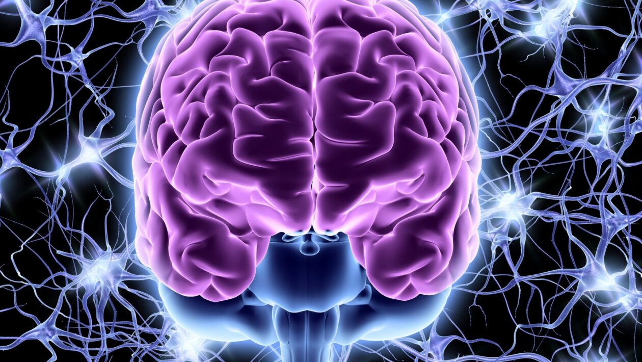 estudo sobre consciência