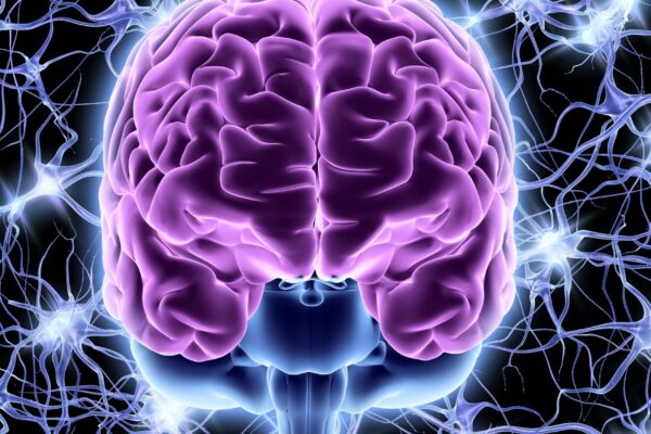 estudo sobre consciência