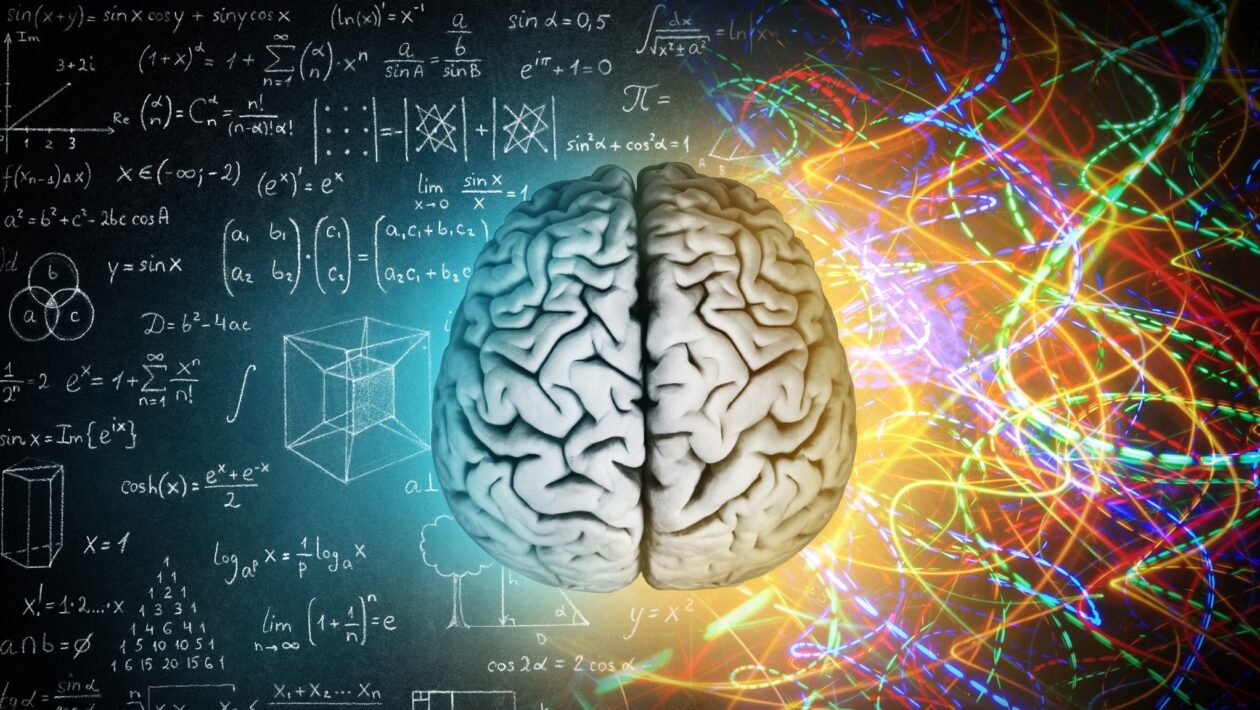 Estudo mostra padrões de atividade em diferentes áreas cerebrais. (Foto: Getty Images / Canva Pro)