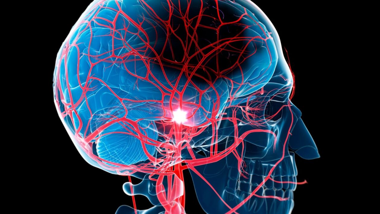 Prevenir o AVC é cuidar do coração e do cérebro. (Foto: Photo Library via Canva)