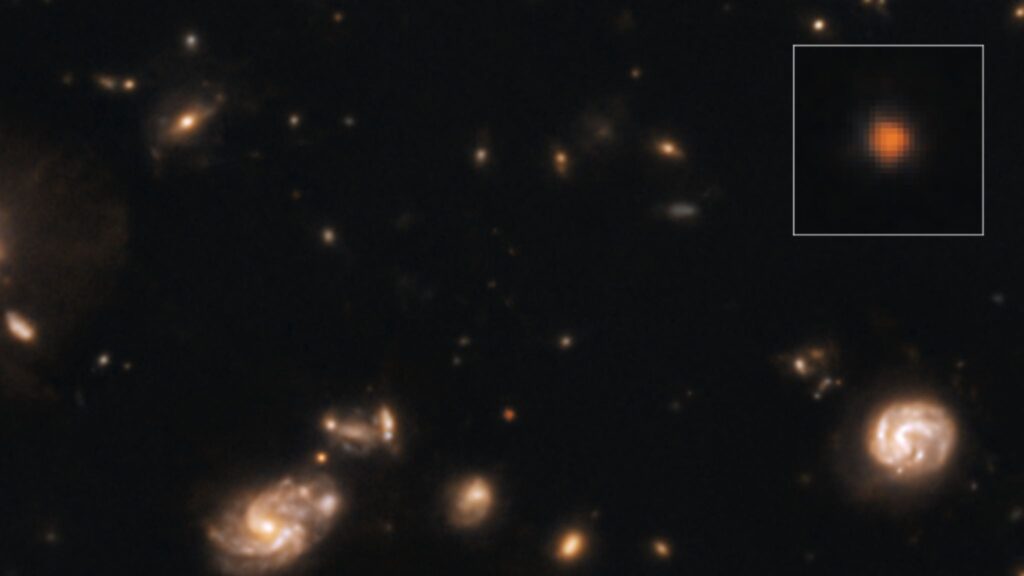 Capotauro intriga astrônomos entre galáxia antiga ou corpo frio (Wikimedia Commons / Autor: Giuseppe Capriotti & Giovanni Gandolfi. Data: NASA / ESA / CSA / JWST / CEERS).