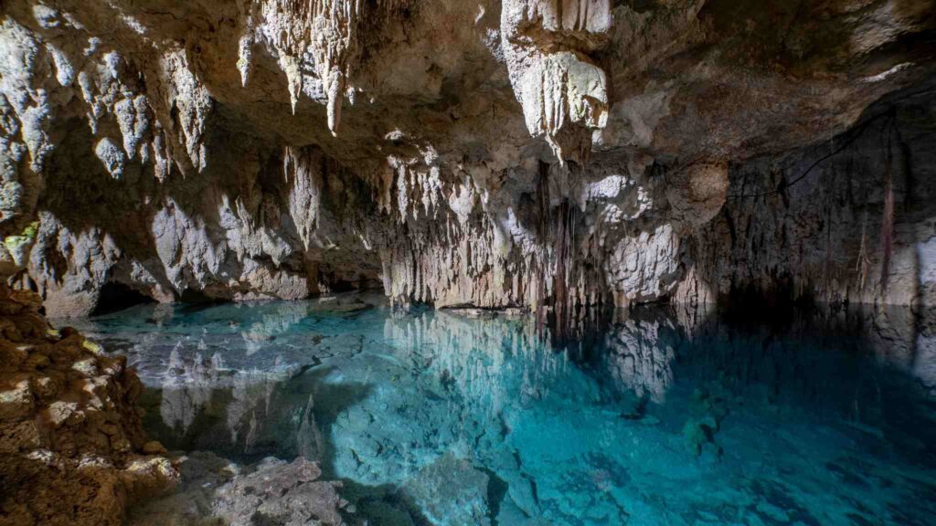 Nova espécie aquática do RN reforça importância de proteger cavernas (Crédito: Getty Images/ Canva Pro)