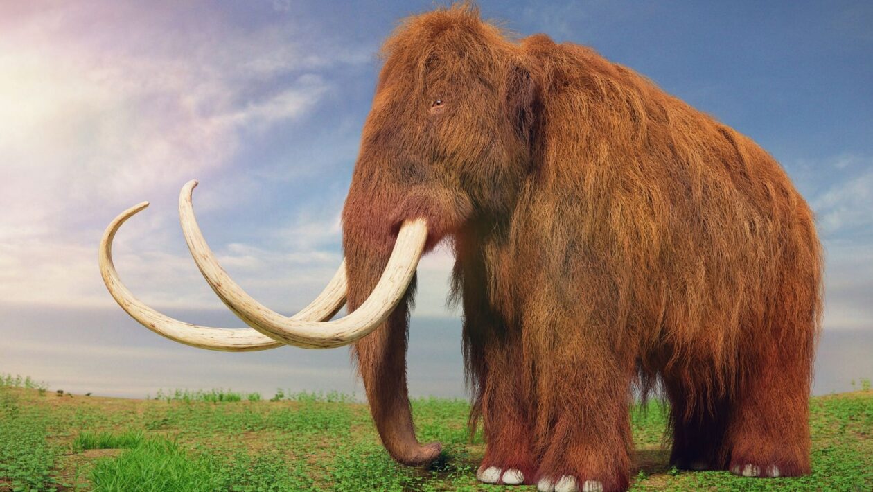 DNA microbiano de mamutes. (Foto: Getty Images)