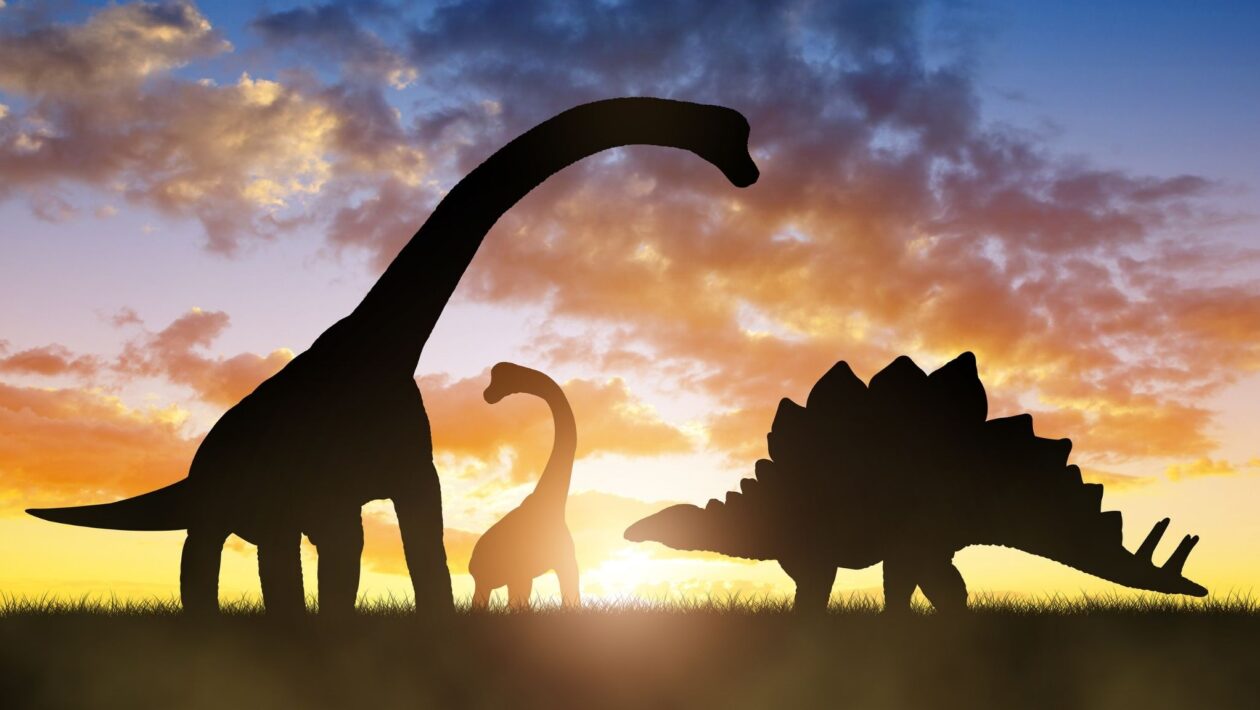 Dinossauro com vela nas costas é descoberto na Inglaterra.
