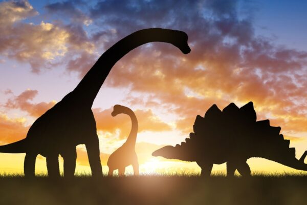 Dinossauro com vela nas costas é descoberto na Inglaterra.