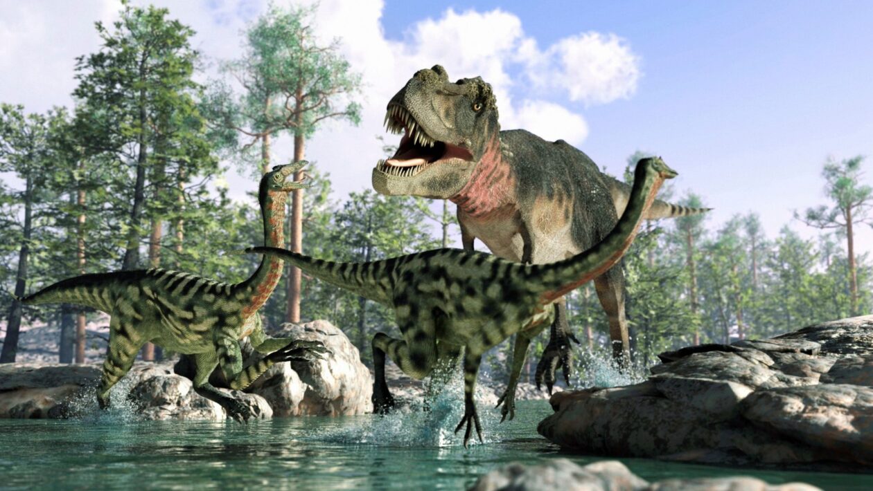 Dinossauros prosperavam pouco antes do impacto do asteroide. (Foto: Photo Libary via Canva)