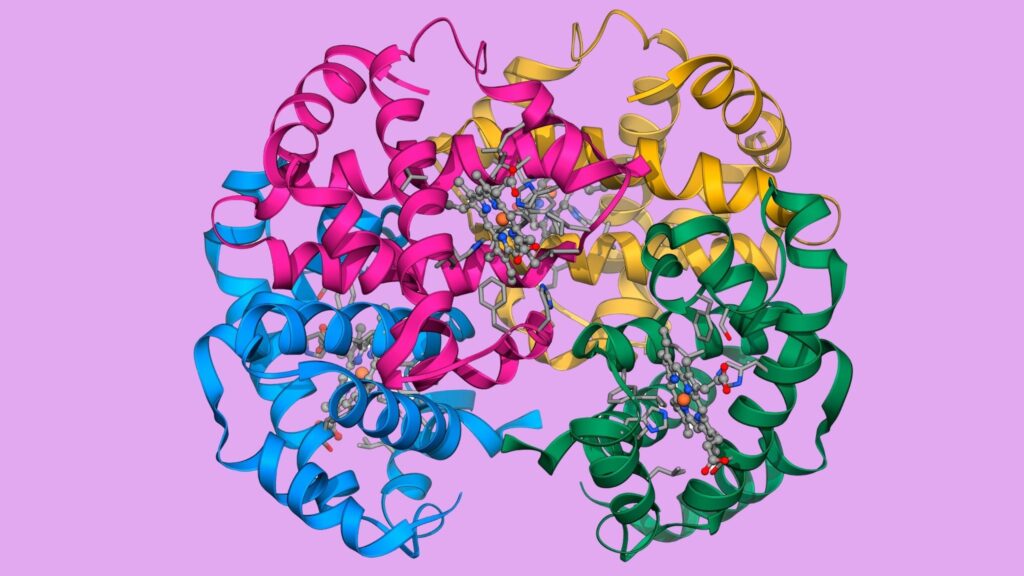 Proteínas mal dobradas atacam o cérebro humano. (Foto: Photo Library via Canva)