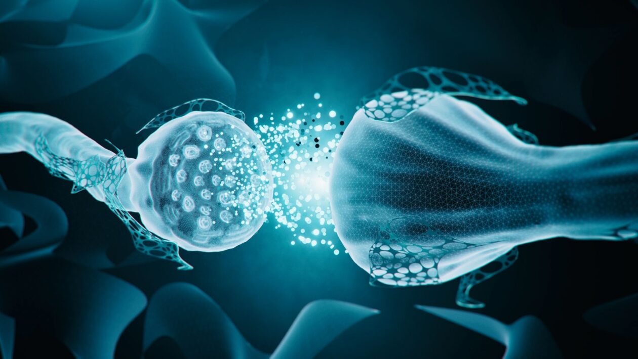 Conexões invisíveis revelam novo tipo de comunicação cerebral. (Foto: Getty Images via Canva)