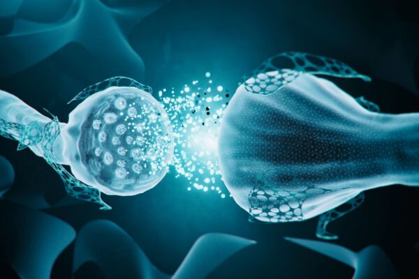 Conexões invisíveis revelam novo tipo de comunicação cerebral. (Foto: Getty Images via Canva)