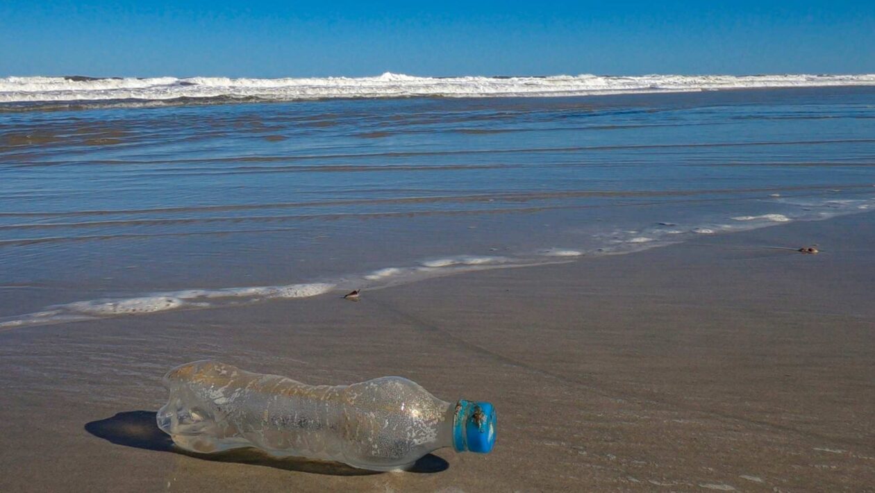 Reduzir plástico é essencial para salvar os oceanos (Crédito: Getty Images/ Canva Pro)