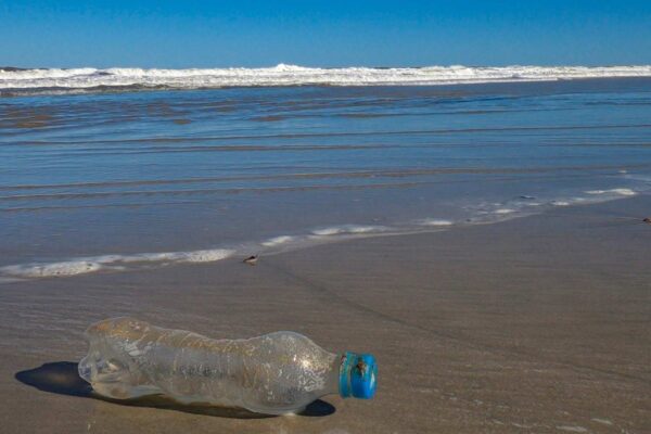 Reduzir plástico é essencial para salvar os oceanos (Crédito: Getty Images/ Canva Pro)