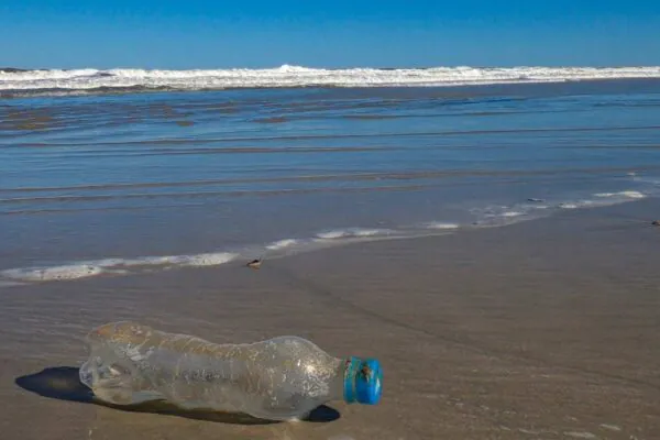 Reduzir plástico é essencial para salvar os oceanos (Crédito: Getty Images/ Canva Pro)