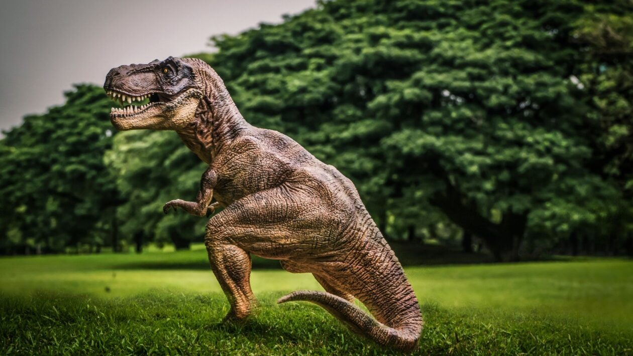 Descoberta preenche lacunas sobre origem dos T-Rex. (Foto: Getty Images via Canva)