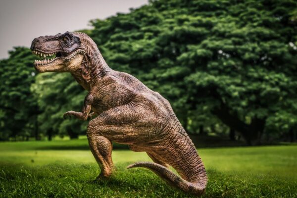 Descoberta preenche lacunas sobre origem dos T-Rex. (Foto: Getty Images via Canva)