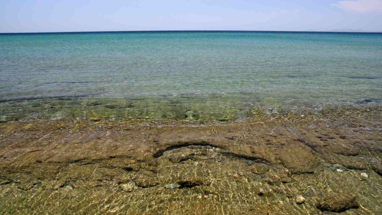 Mares rasos absorvem carbono, mas aumentam a acidificação oceânica (Imagem: Getty Images/ Canva Pro)