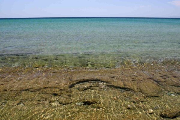 Mares rasos absorvem carbono, mas aumentam a acidificação oceânica (Imagem: Getty Images/ Canva Pro)