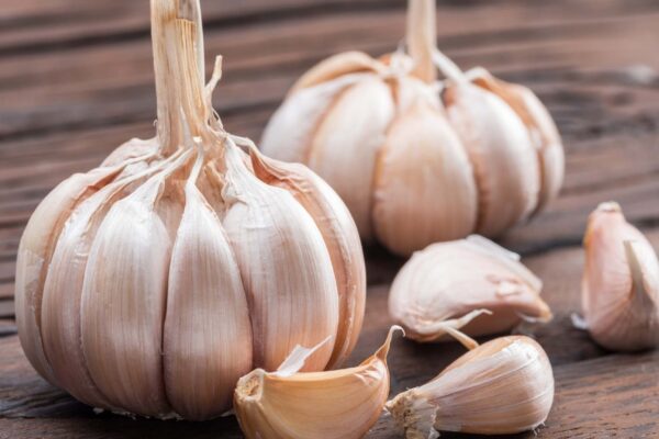 Alho cru ajuda a reduzir colesterol e controlar níveis de glicose (Crédito: Getty Images/ Canva Pro)