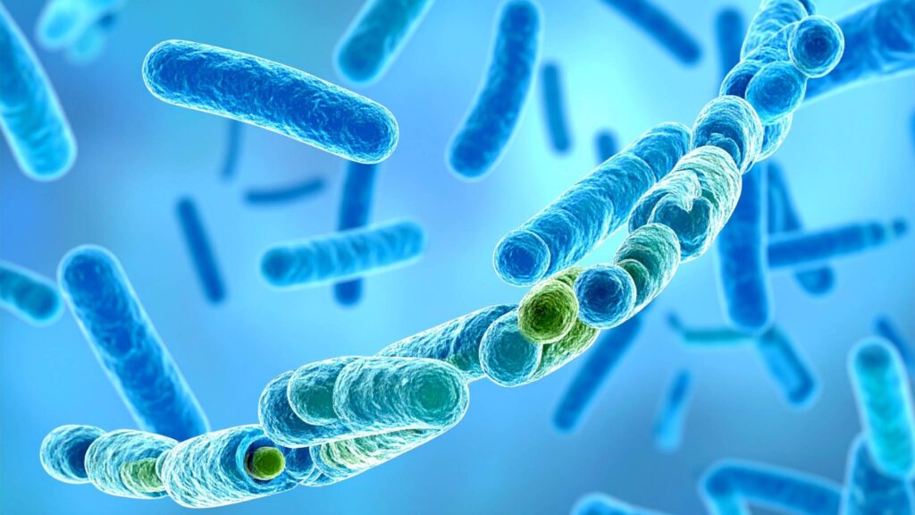 Vida invisível no Ártico ajuda o oceano a absorver mais CO₂ (Imagem: TrueCreatives/ Canva Pro)