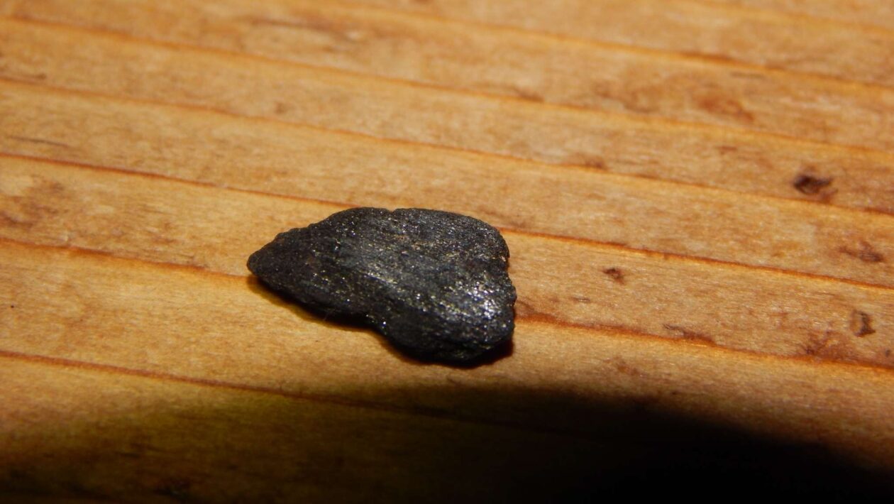 Biochar acelera compostagem e reduz gases de efeito estufa (Crédito: Getty Images/ Canva Pro)