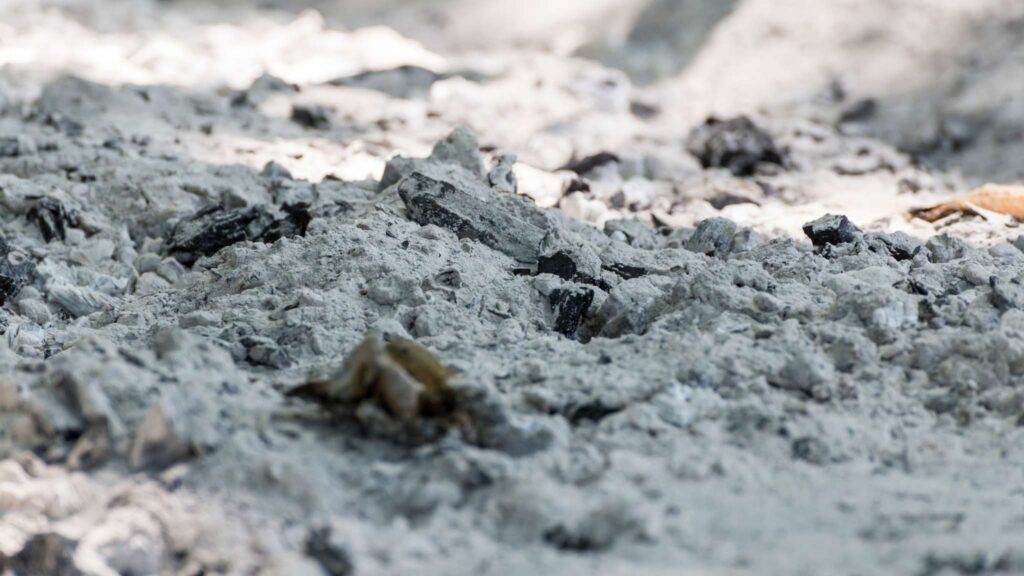 Compostagem mais limpa e eficiente com o poder do biochar (Crédito: Getty Images/ Canva Pro)