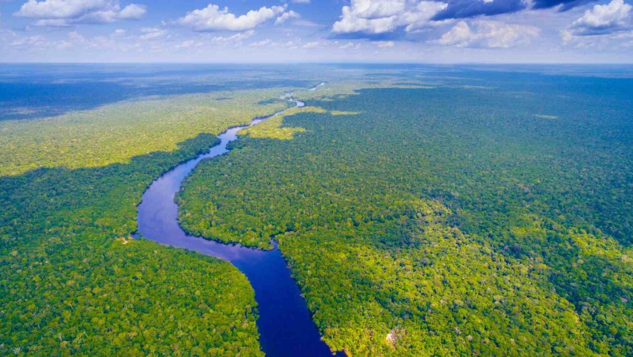 Expedição mapeia a biodiversidade marinha inédita da Amazônia Azul (Imagem: Getty Images/ Canva Pro)