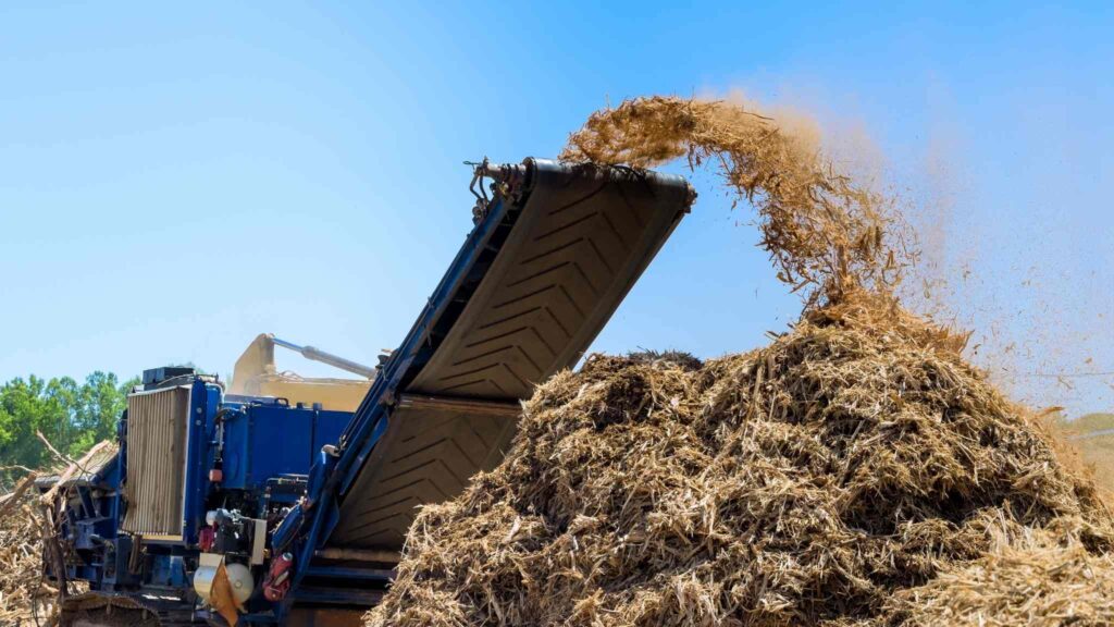 Estudo identifica 170 milhões de variações genéticas na forragem tropical (Imagem: Canva Pro)