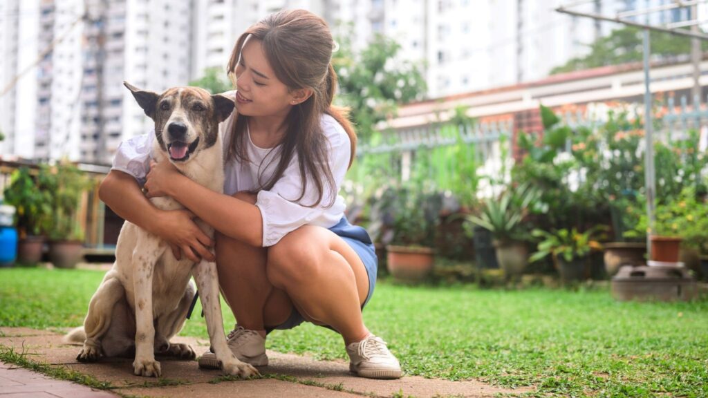 Adoção de pets melhora humor e combate a solidão. (Foto: Getty Images via Canva)