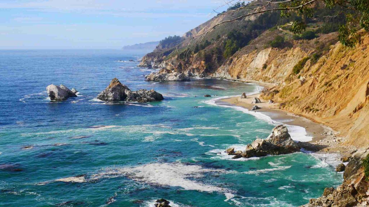 Micróbios marinhos disputam nutrientes e influenciam o clima global (Imagem: Getty Images/ Canva Pro)