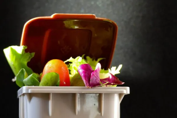 Desperdício de comida pesa no bolso e aumenta poluição global (Imagem: Getty Images / Canva Pro)